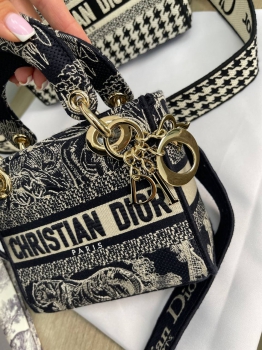Сумка женская  mini  Christian Dior Артикул BMS-102161. Вид 2